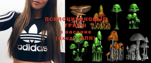 ешки Алексеевка