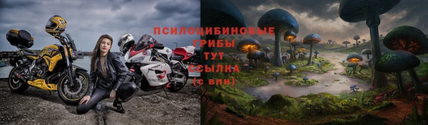ешки Алексеевка