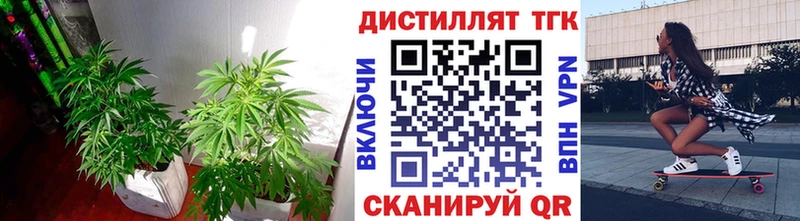 где продают наркотики  Закаменск  Дистиллят ТГК концентрат 
