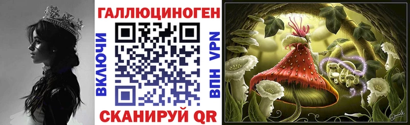 Псилоцибиновые грибы GOLDEN TEACHER Закаменск