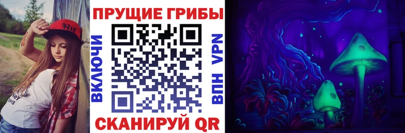 Галлюциногенные грибы MAGIC MUSHROOMS  Закаменск 